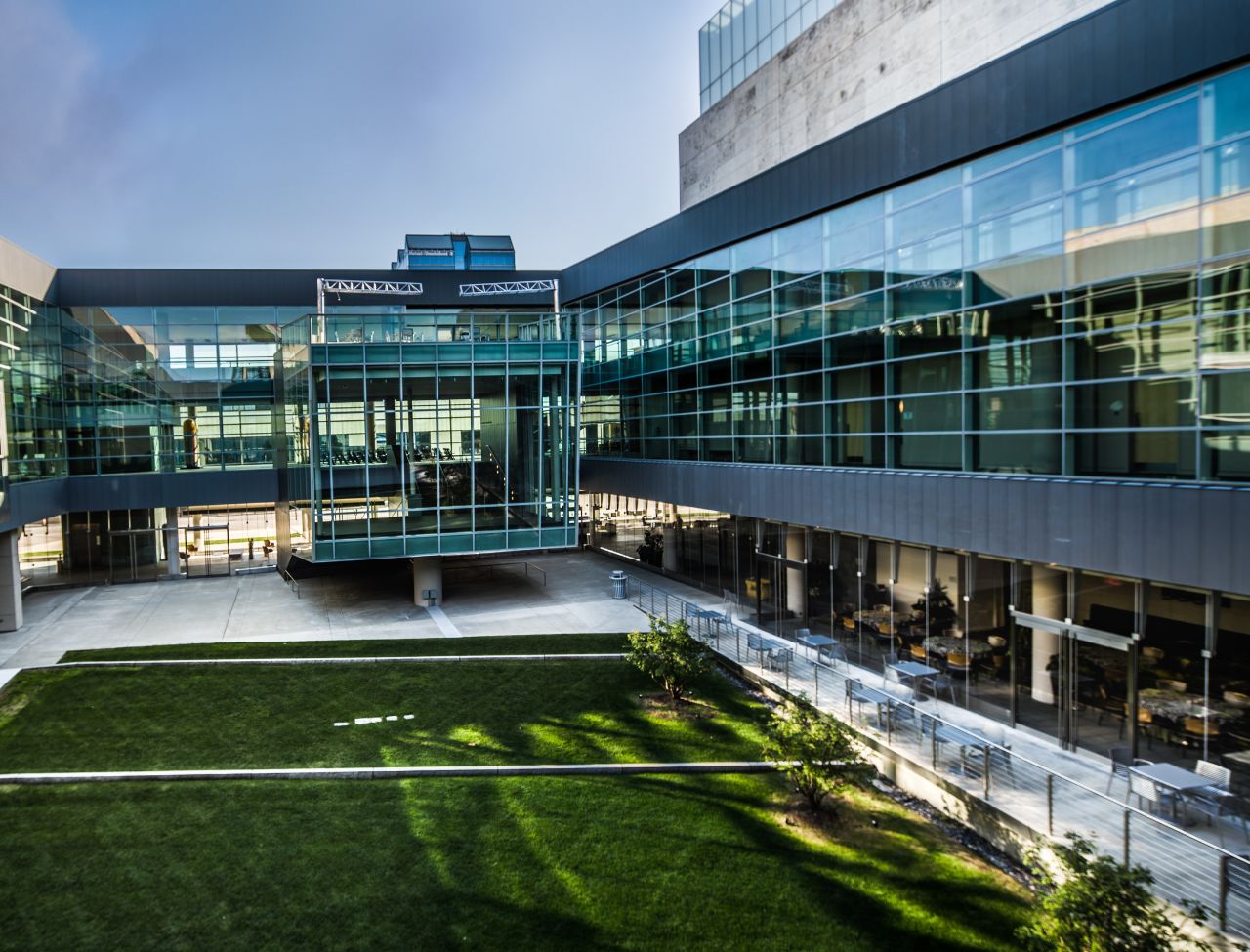 view of courtyard inside the holland center. green lawn surrounded by cement leading into the building